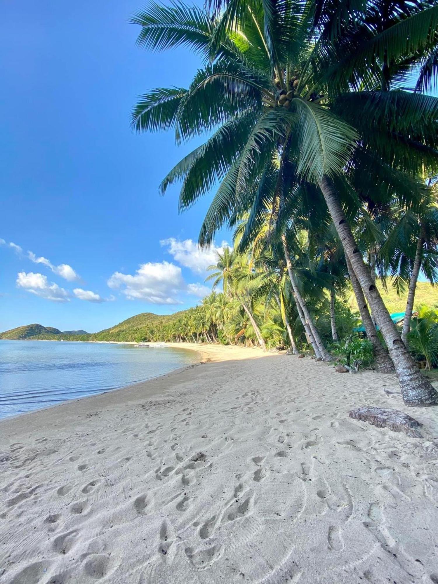 Ocamocam Beach Nature Resort New Busuanga Εξωτερικό φωτογραφία