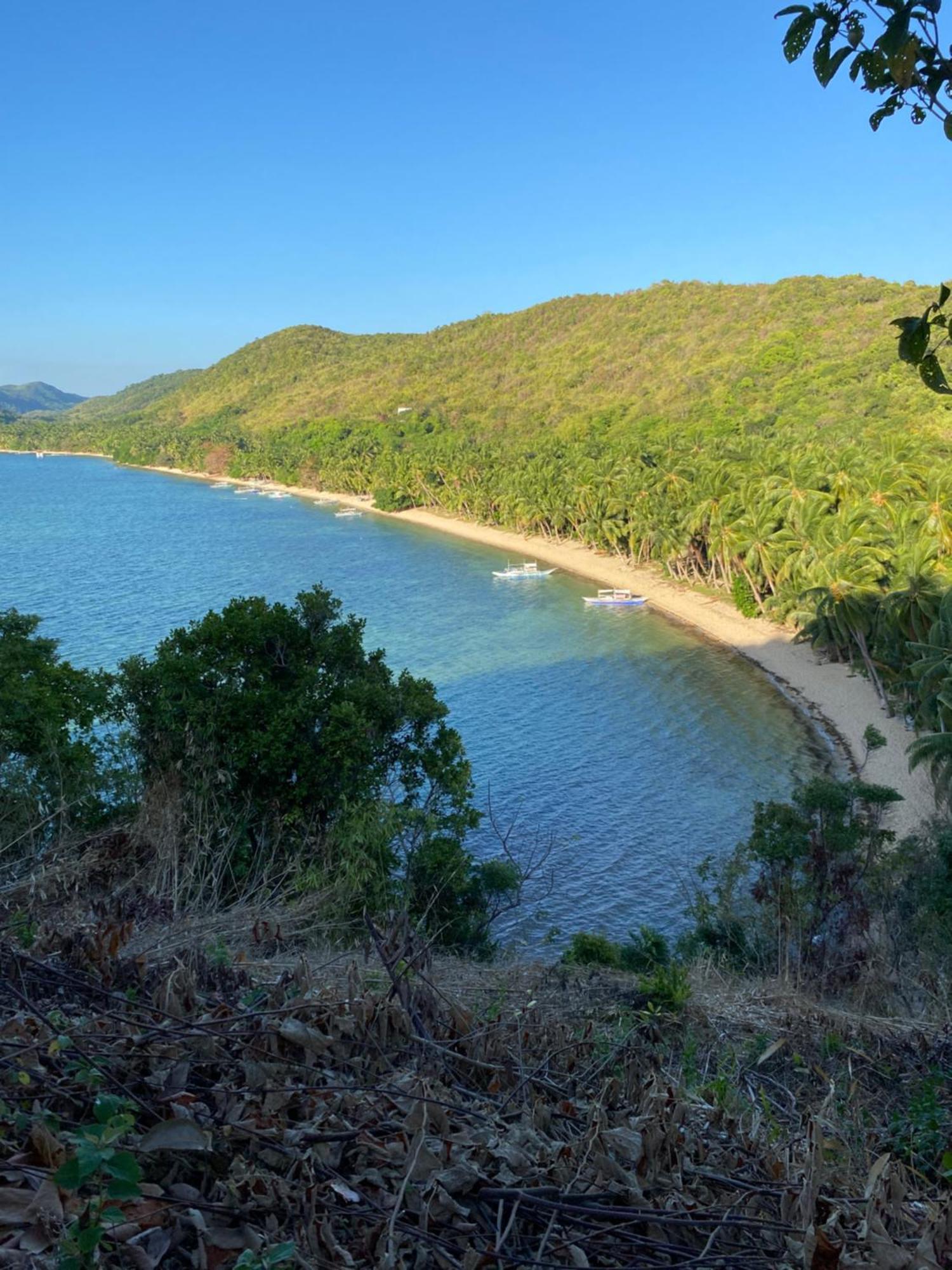 Ocamocam Beach Nature Resort New Busuanga Εξωτερικό φωτογραφία