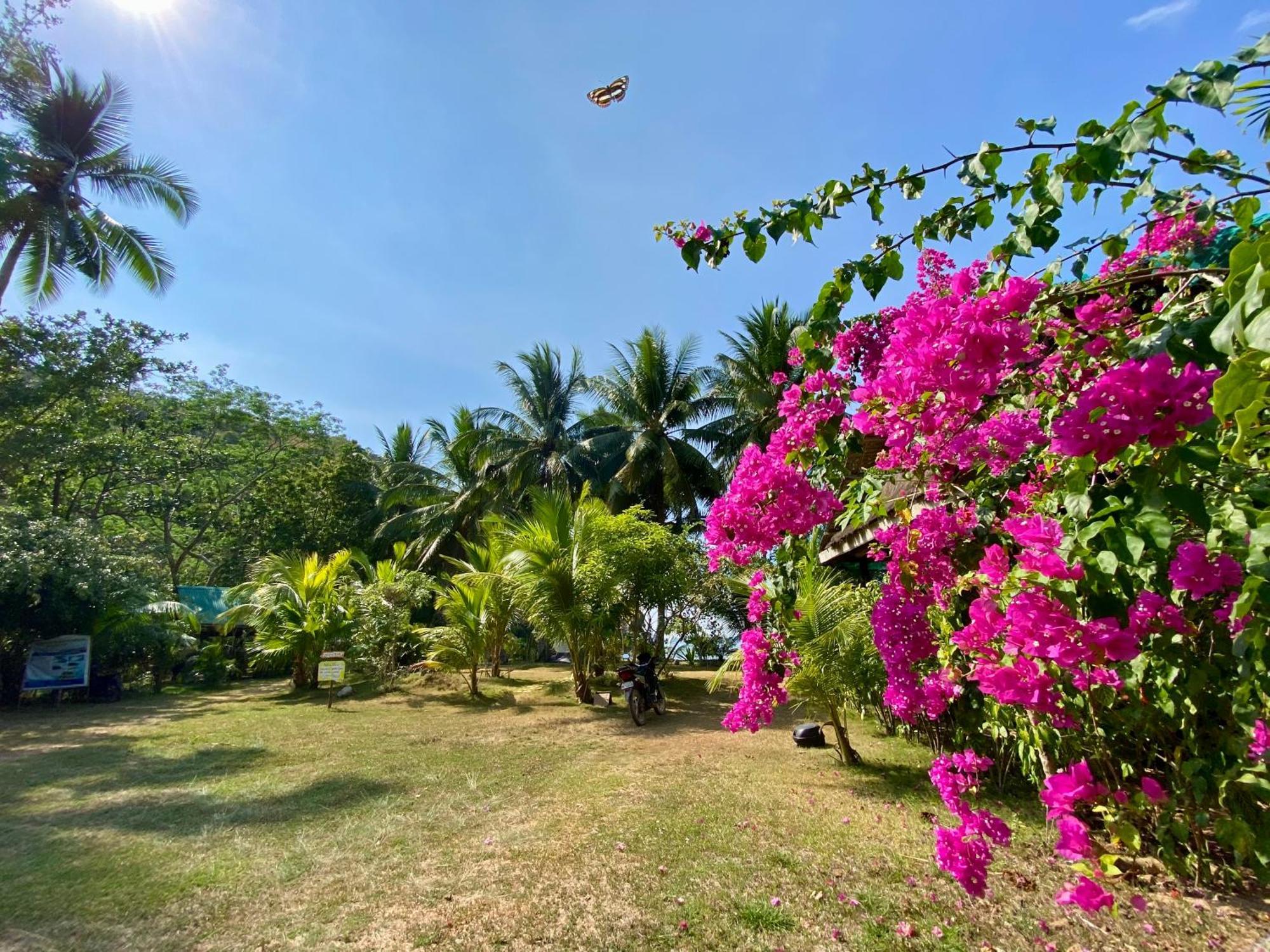 Ocamocam Beach Nature Resort New Busuanga Εξωτερικό φωτογραφία