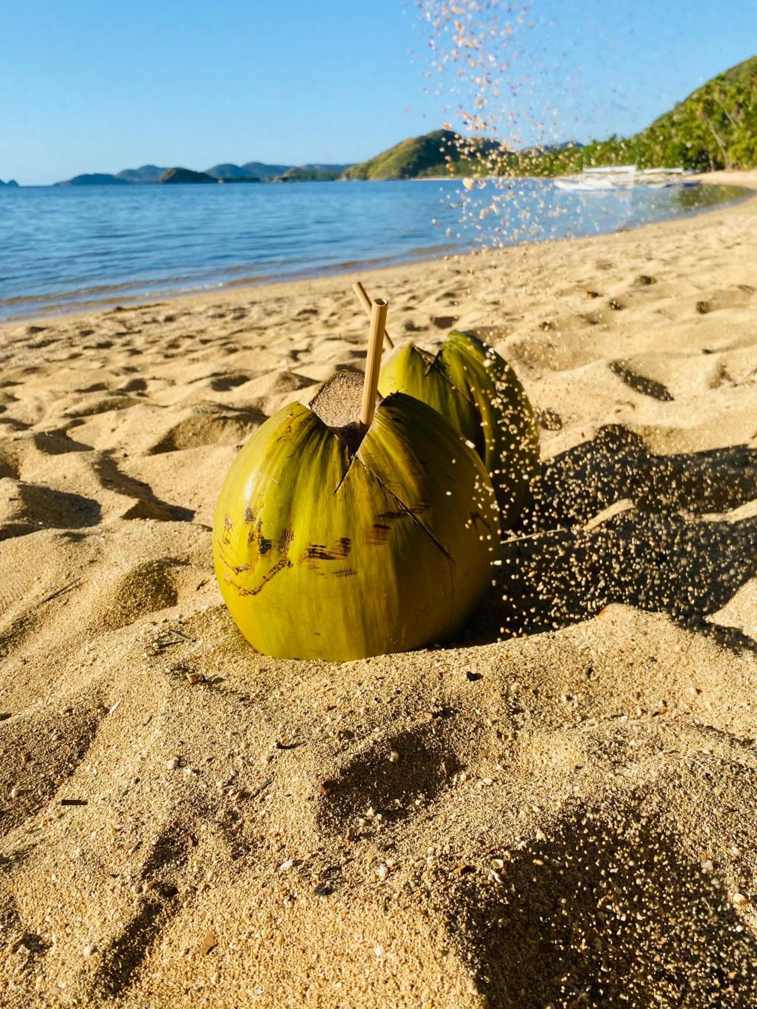 Ocamocam Beach Nature Resort New Busuanga Εξωτερικό φωτογραφία