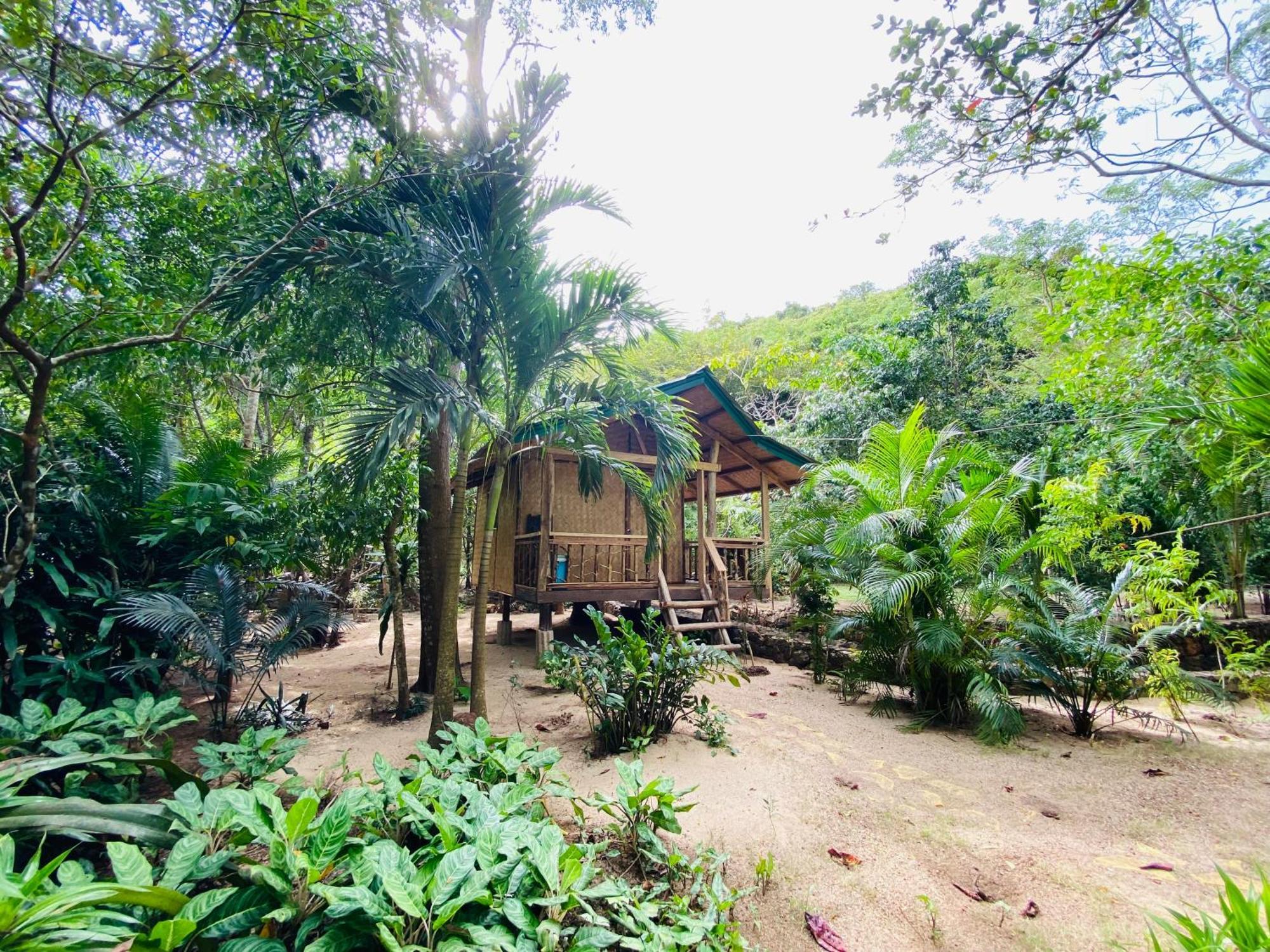 Ocamocam Beach Nature Resort New Busuanga Εξωτερικό φωτογραφία